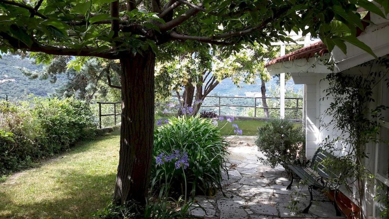 Deliziosa Casetta Con Dehor E Giardino Immersa Nel Verde Ligure Imperia Ngoại thất bức ảnh