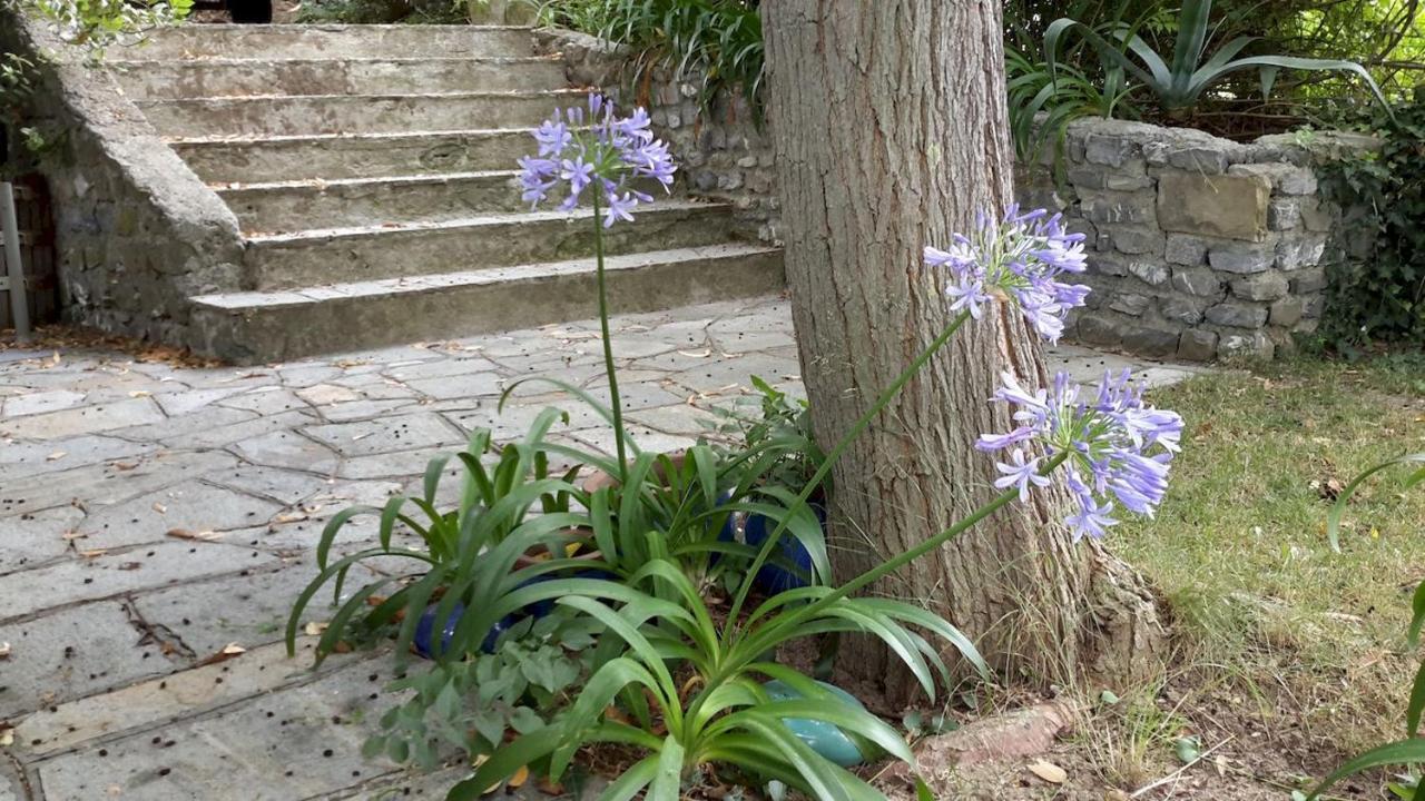 Deliziosa Casetta Con Dehor E Giardino Immersa Nel Verde Ligure Imperia Ngoại thất bức ảnh